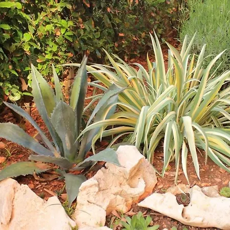 Lejlighed With A Parking Space - 7985 *